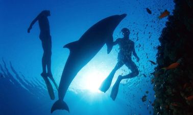 Scuba Diving in the Red Sea with Professional PADI Instructor