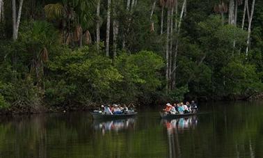 Découvrez la rivière Madre de Dios au Pérou en bateau