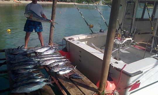 Tuna, Dorado, Wahoo, Bonitos