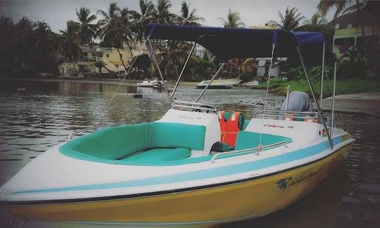 Private Dolphin Tour on a Bowrider for 6 People in Black River, Mauritius