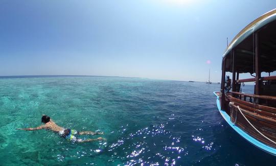 Una increíble experiencia de buceo para hasta 20 personas en Maafushi, Maldivas