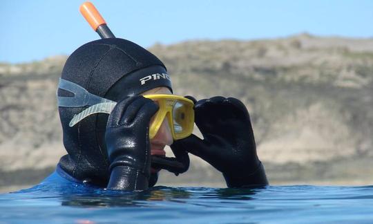 Faites de la plongée en apnée avec des otaries à Puerto Piramides, en Argentine