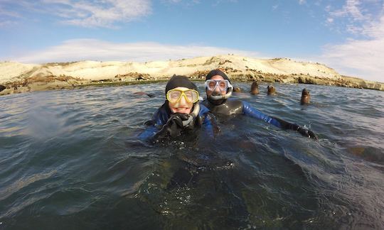 Scuba Diving Lesson with Experienced Instructor in Puerto Madryn, Argentina