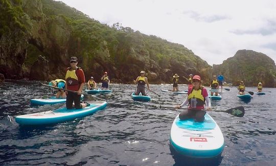 Paddle the Beautiful Tutukaka Coast, New Zealand