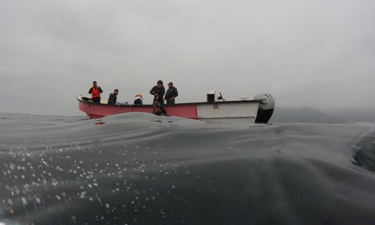 Commencez votre aventure de plongée avec nous !