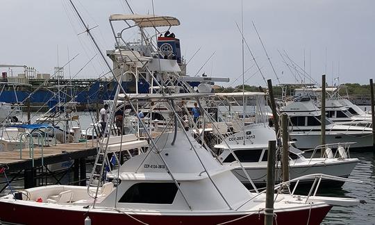 Bertram 31 one of the most famous sportfishing boats ever built.