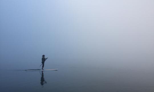 Rotorua Lakes Stand Up Paddle Boad Tour New Zealand