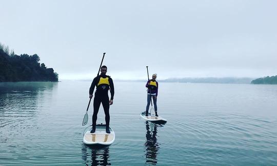 Paddle Board Rotorua provide epic paddle board tours in Rotorua NZ