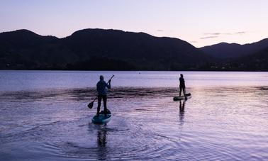 Paddle Board Glow Worm Tour