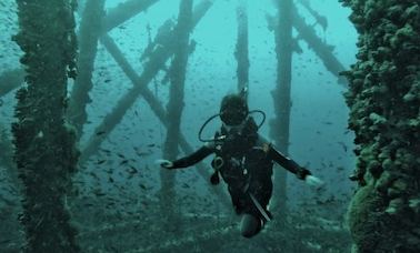 Se ofrece un viaje de buceo en Piura, Perú con un instructor profesional