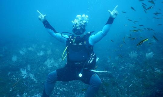 Viagem de mergulho e cursos com instrutores certificados oferecidos em Guanacaste, Costa