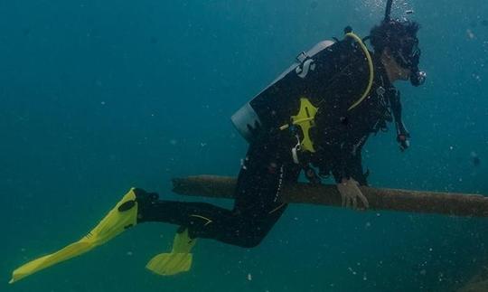 Increíble viaje de buceo en Koh Tao, Tailandia