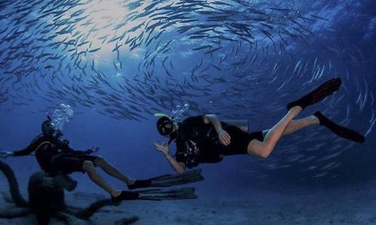 Increíble viaje de buceo en Koh Tao, Tailandia