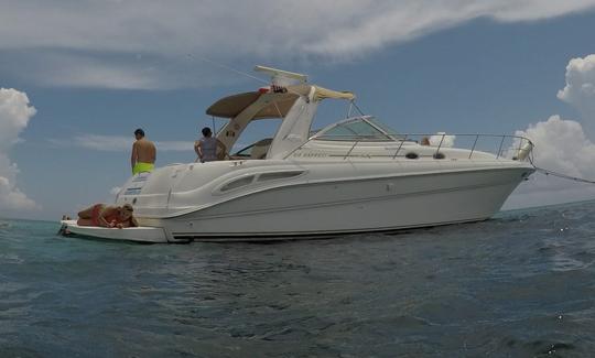 Luxury Recreational Fishing Tour For Groups ,Families From Cancun Isla Mujeres 