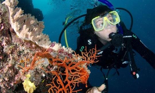 ¡Descubra los magníficos arrecifes de coral de Nusa Penida, Indonesia!