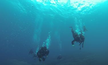 Discover the Magnificent Coral Reefs in Nusa Penida, Indonesia!