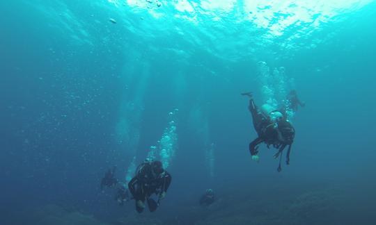 ¡Descubra los magníficos arrecifes de coral de Nusa Penida, Indonesia!