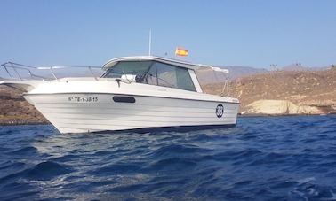 Ocean safari and boat trips in Tenerife