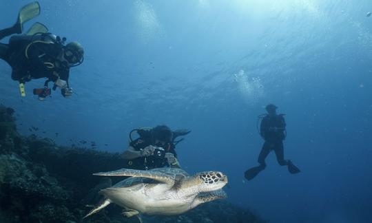 Discover Entire Bali While Diving With Us!