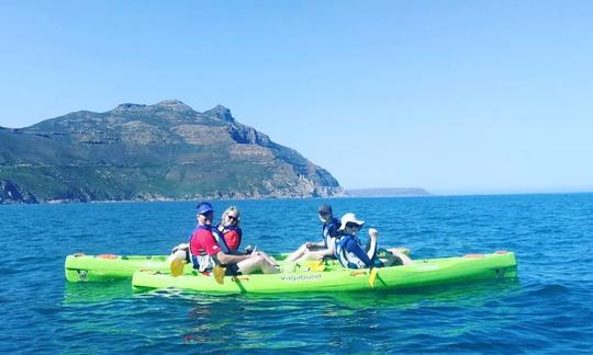 ¡Realice una excursión panorámica en kayak que no olvidará!