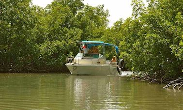 Ecological Boat Excursion from Vieux-Bourg, Guadeloupe