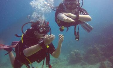 Excursion de plongée avec Dive Master Guide aux îles Perhentian, Malaisie