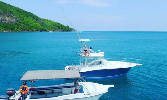 Emocionante viagem de barco de safári pelo recife em Victoria, Seychelles