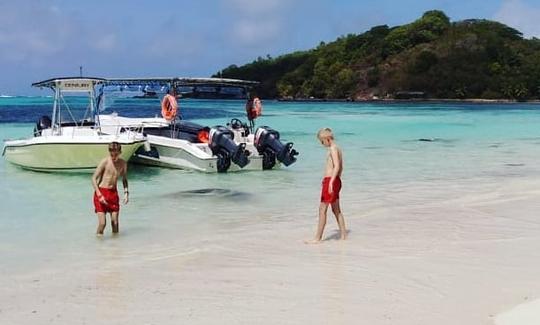 Emocionante viagem de barco de safári pelo recife em Victoria, Seychelles