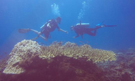 Viagem de mergulho com o Dive Master Guide nas Ilhas Perhentian, Malásia