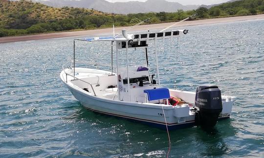 ¡Barco costero perfecto y asequible!