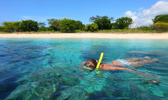 Excursions de safari en mer et observation de baleines !