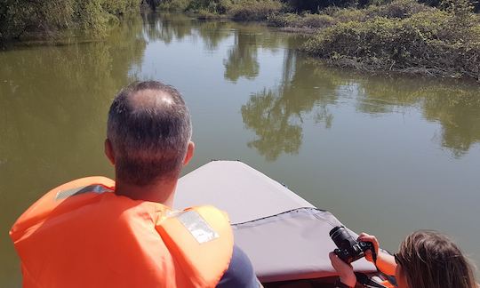 GRIFFIN LORD - BOWRIDDER boat - 12 people group tour or private tours