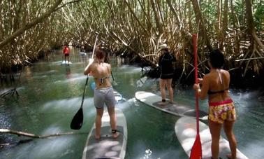 Stand Up Paddleboard pronto para alugar em Sainte Rose, Guadalupe!