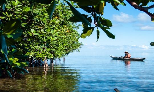 Uma canoagem relaxante em Sainte Rose, Guadalupe!