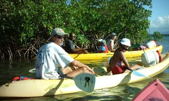 Uma canoagem relaxante em Sainte Rose, Guadalupe!