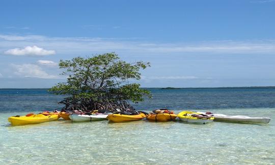 Uma canoagem relaxante em Sainte Rose, Guadalupe!