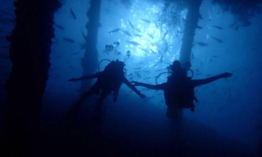 Enjoy An Underwater Experience Of A Life Time In Sumbawa, Indonesia!