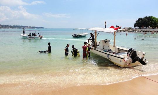 Join the Diving Adventure and Keep Learning in Unawatuna, Sri Lanka