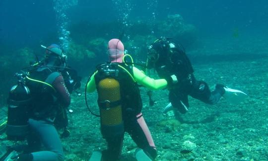 Viagem de mergulho para até 15 pessoas com guia profissional em Ustica, Itália