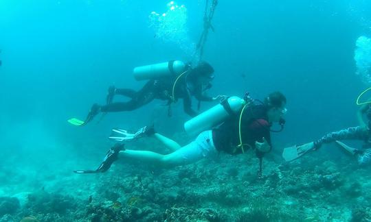 Viaje de buceo con guía profesional en la ciudad de Cebú, Filipinas