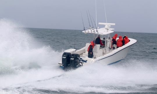 Striped Bass and Tuna Trips on 33’ Invincible Center Console in Cape Cod Bay