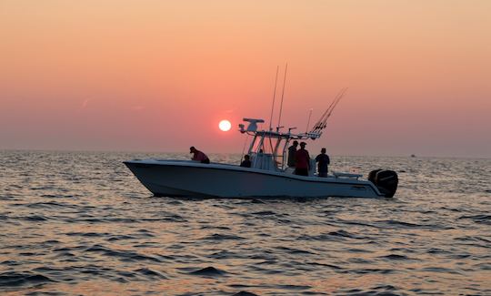 Striped Bass and Tuna Trips on 33’ Invincible Center Console in Cape Cod Bay