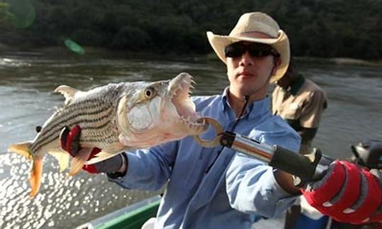 Safari de pesca de tigres en el río Zambezi