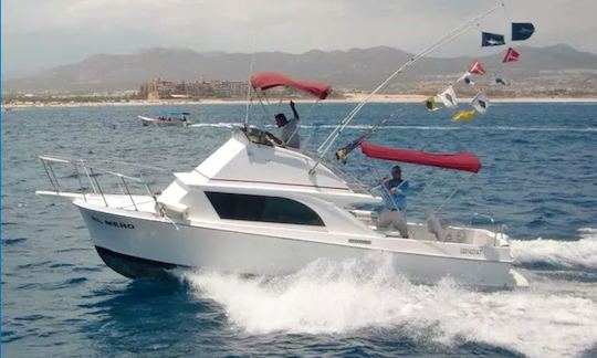 Enjoy Fishing in Baja California Sur, Mexico on 28 ft ' california - Sport 