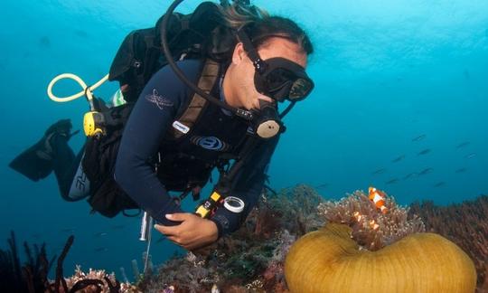 Excursão de mergulho de 5 dias/4 noites em Bunaken, Indonésia