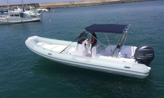 Bateau gonflable rigide Predator 7,3 m 24 pieds à louer à Forio, Ischia