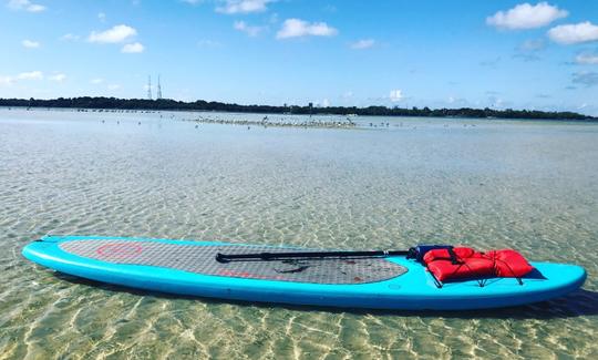 Stand Up Paddleboard Rental and Tour in Treasure Island, Florida