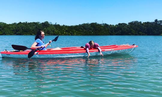 Pelican 10 Single Kayak Rental and St. John's Pass and Shell Key Preserve Kayak Tour