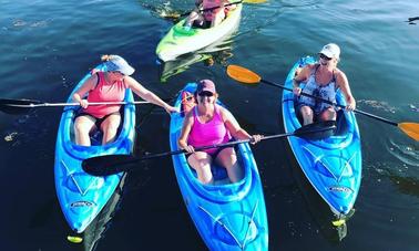 Pelican 10 Single Kayak Rental and St. John's Pass and Shell Key Preserve Kayak Tour