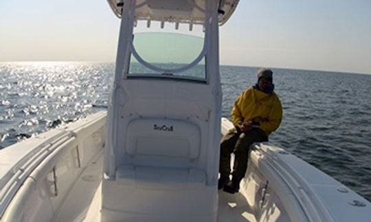 Location de pêche SeaCraft Master Angler de 26 pieds à Truro, Massachusetts